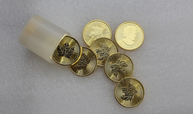 Gold Investment Coins