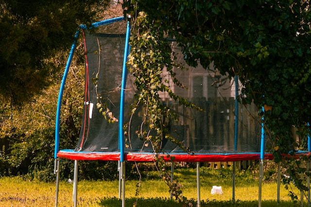 blue and red trampoline on the backyard