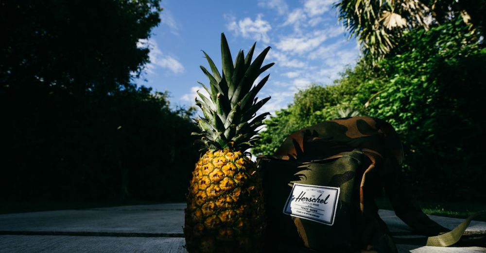 Exotic Supplies - Pineapple with a camouflage backpack on a sunlit path surrounded by lush greenery.