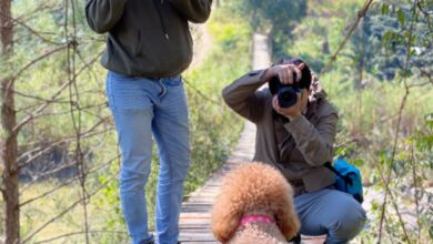 Pet Cameras - Two photographers capturing a poodle on a scenic hanging bridge in a wooded area.