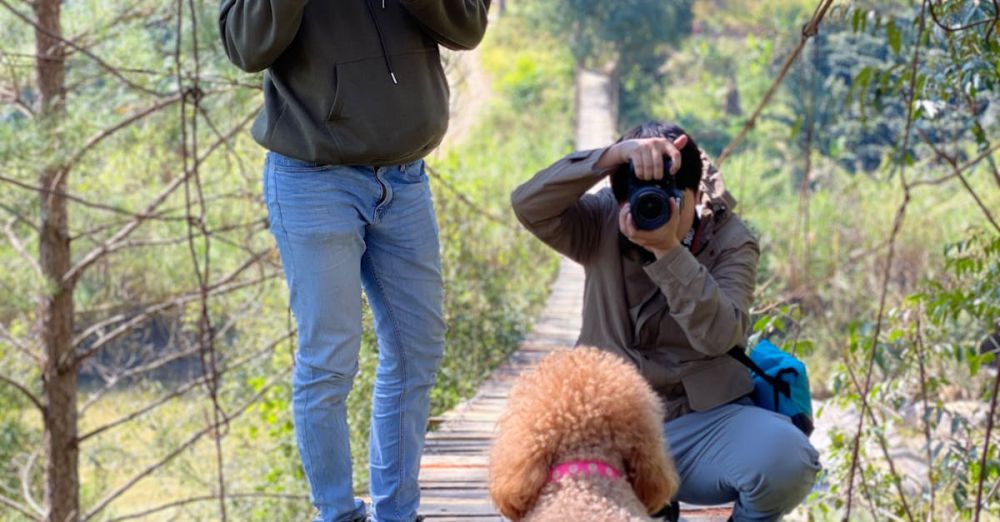 Pet Cameras - Two photographers capturing a poodle on a scenic hanging bridge in a wooded area.