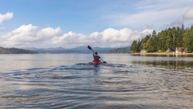 Kayak - Experience a peaceful kayaking journey on a vast lake surrounded by lush forests under clear skies.