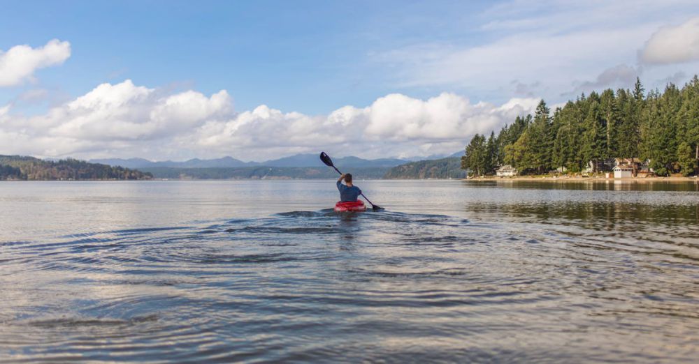 Kayak - Experience a peaceful kayaking journey on a vast lake surrounded by lush forests under clear skies.