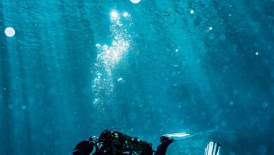 Diving Equipment - Scuba diver exploring underwater reef in vibrant turquoise waters, capturing marine life beauty.