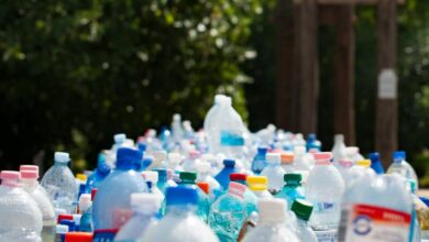 Water Bottles - A vibrant collection of plastic bottles in an outdoor recycling setup, showcasing environmental awareness.