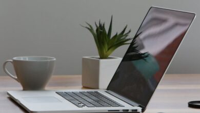 Laptops - Minimalist home office desk with laptop, smartphone, and plant for a modern work environment.