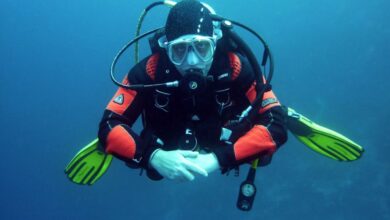 Swimming Devices - A diver in a drysuit exploring the ocean depths with full scuba gear.