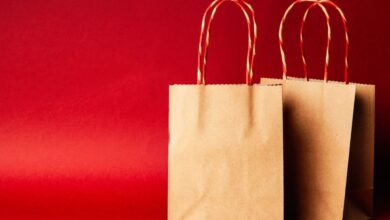 Shopping Bags - Simple brown paper bags with handle on a festive red backdrop, perfect for Christmas.