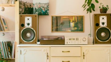 External Speakers - Retro home interior featuring vintage stereo, speakers, and houseplants for cozy atmosphere.