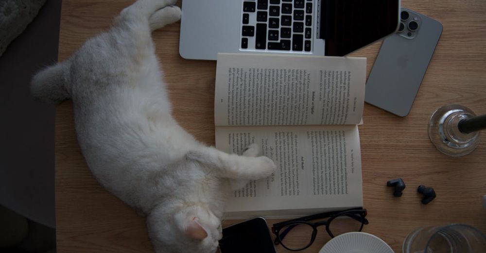 Wireless Earbuds - A relaxing scene with a cat sleeping on a book near a laptop and coffee on a desk.