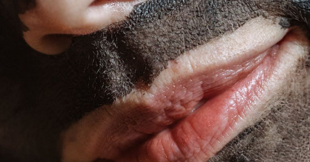 Mineral Masks - Closeup of crop calm unrecognizable woman with cleansing clay mask doing facial procedure in daylight