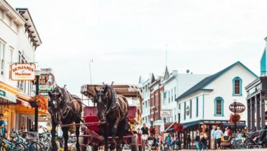 Sanders - A bustling Mackinac Island street scene featuring a horse-drawn carriage and vibrant architecture.