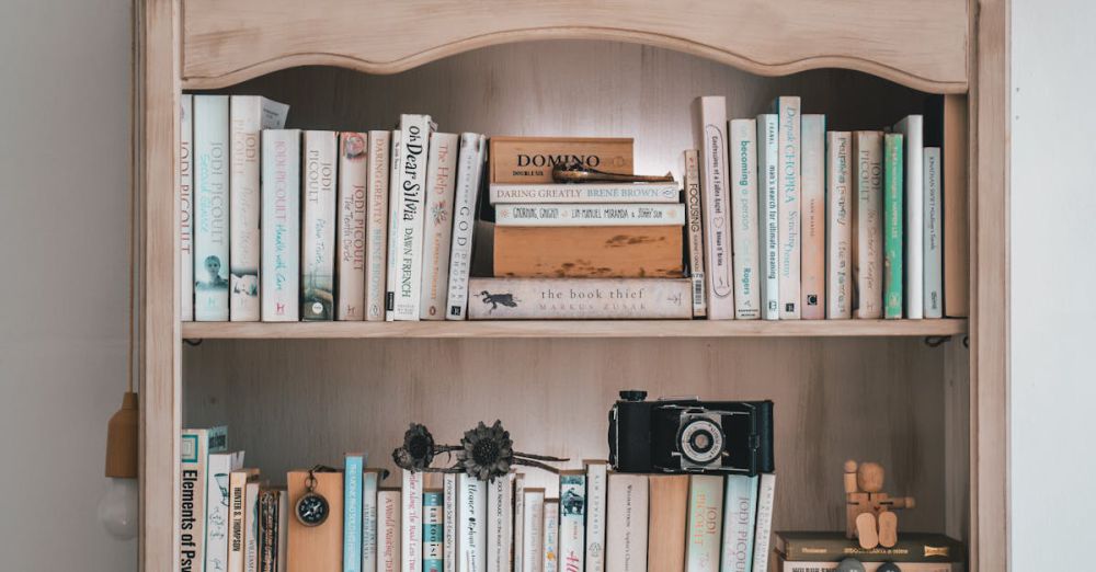 Vintage Cameras - A vintage-themed bookshelf featuring books, cameras, and decorative items, perfect for interior decor inspiration.