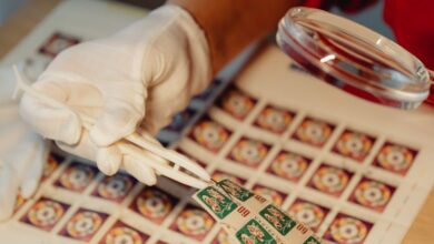 Rare Stamps - A philatelist using a magnifying glass to inspect a stamp collection indoors.