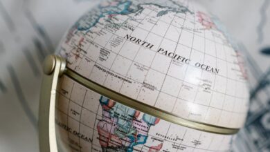 Antique Maps - Classic vintage globe captured on a detailed patterned fabric, showcasing world geography with a timeless appeal.