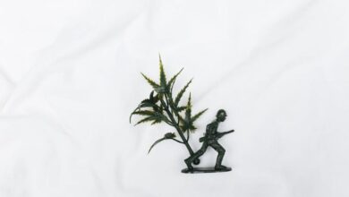 Military Items - A close-up of a plastic toy soldier figurine with an artificial plant on a white background, offering ample copy space.