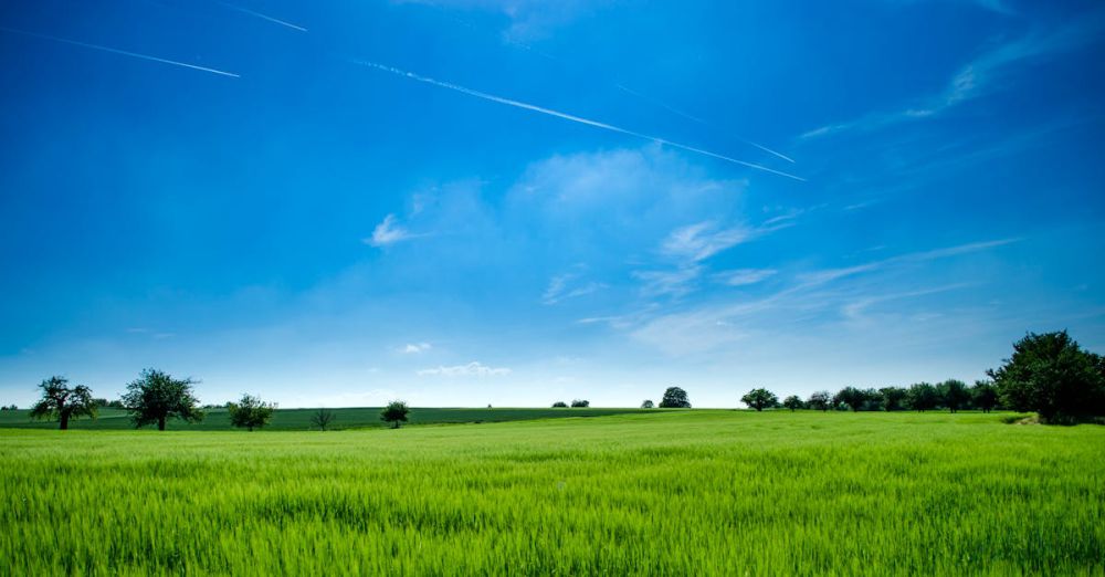 Land - Tranquil rural landscape with lush green field and bright blue sky.