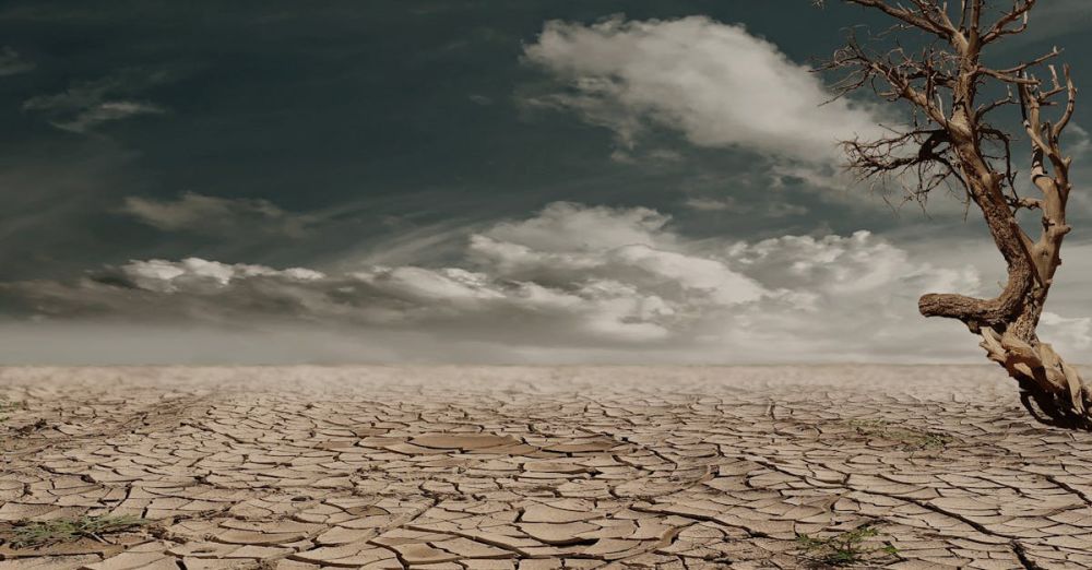 Climate Change - A solitary tree stands against a cracked, arid landscape under a cloudy sky, illustrating drought and desertification.