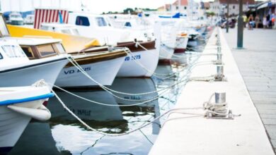 Boats - A collection of boats moored at a harbor pier on a clear day. Perfect for travel and maritime themes.