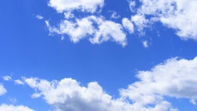 Day - Vibrant cumulus clouds adorn a clear blue sky, creating a serene and dreamy cloudscape.