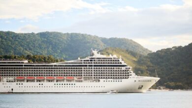 Cruise - A majestic cruise ship sails through tranquil waters with lush hills in the background, perfect for travel enthusiasts.