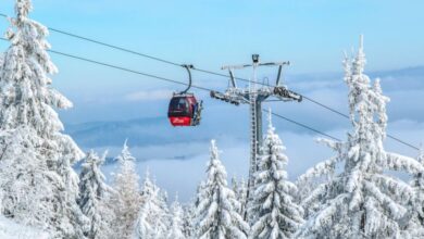 Ski Resort - Snow-covered ski lift in Krynica-Zdrój, Poland, amidst wintry forest scenery.