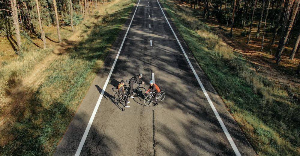 Car-Free - Aerial view of cyclists resting on a scenic forest road in Brest, Belarus.