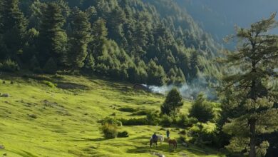 Hike Duration - Scenic view of horse riding in lush green mountain landscape with trees.