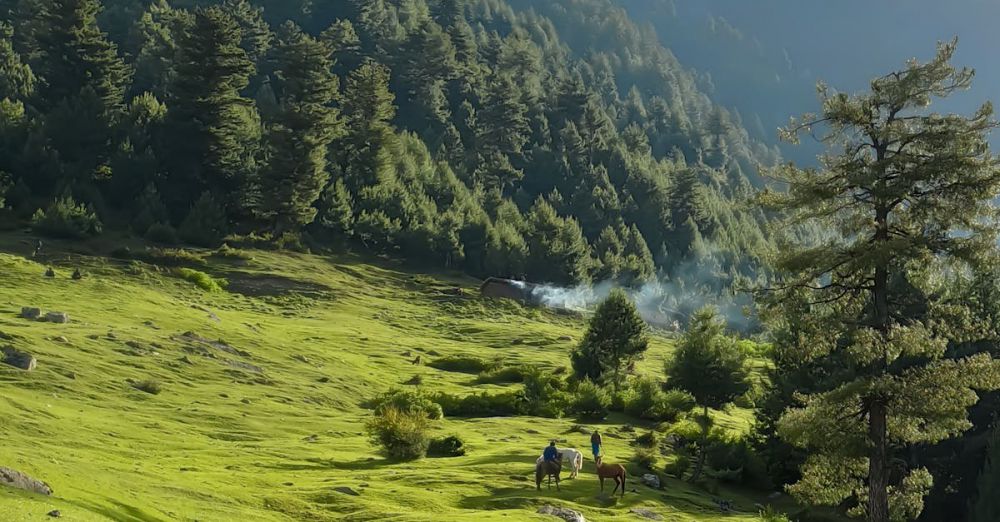 Hike Duration - Scenic view of horse riding in lush green mountain landscape with trees.