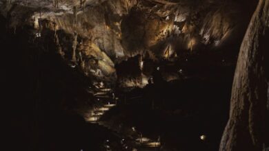 Hidden Trails - Explore the mysterious Lurgrotte Cave in Peggau, Austria, with its stunning formations and dark atmosphere.