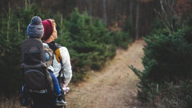 Family Camping - A mother with her child in a carrier backpack hiking through a forest trail on a crisp autumn day.