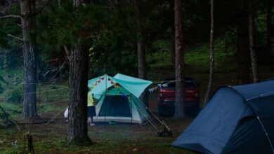 Wild Camping - Peaceful camping scene in the forest with tents and vehicle surrounded by trees.