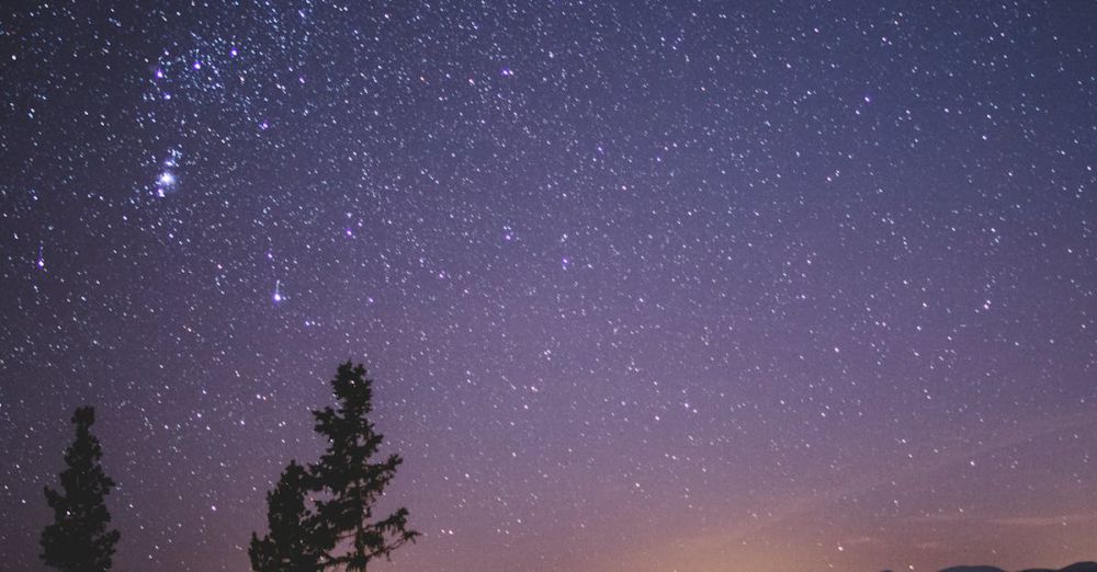 Stargazing - A stunning view of a star-filled night sky with silhouetted trees and distant mountains, perfect for stargazing enthusiasts.