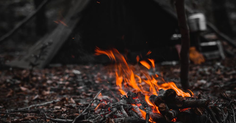 Off-Grid Camping - A campfire burns brightly at a forest campsite in Bolu, Turkey.