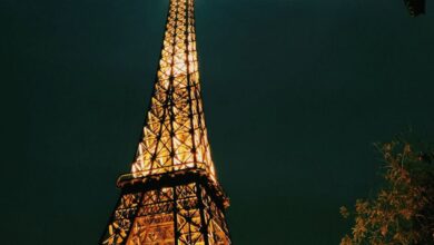 Popular Parks - Illuminated Eiffel Tower replica at night in New Delhi, India, with trees framing the scene.