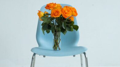 Year-Round - Modern blue chair featuring a vibrant vase of orange roses in minimalist decor.