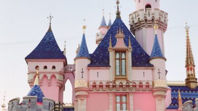 Interesting Tours - Stunning view of the iconic Disneyland Castle in Los Angeles, a must-see tourist attraction.