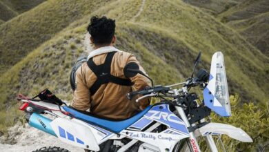 Solo Tours - Rider with motorcycle enjoys a panoramic view over grassy hills under cloudy skies.