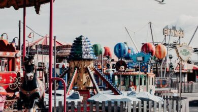 Family Tours - A lively amusement park scene featuring various rides and a carousel on a bright day.