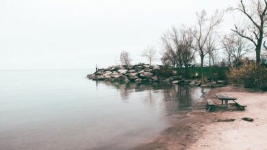 Toronto Tours - Tranquil sandy beach with calm waters at Lake Ontario, Toronto. Perfect for peaceful outdoor retreats.