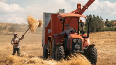 Farmers Festivals - Two men using a tractor for wheat harvest in the fields of Arapgir, Türkiye.