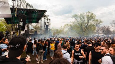 Festival Experience - Energetic outdoor music festival crowd enjoying live performance in a park setting.