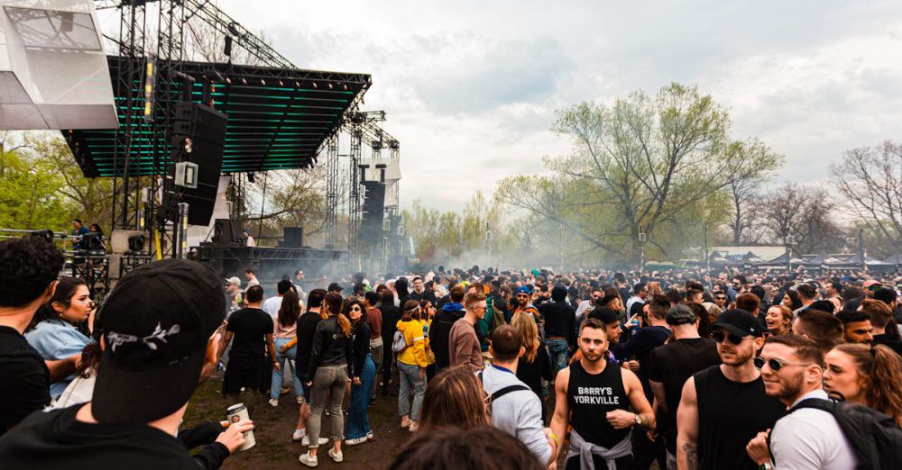 Festival Experience - Energetic outdoor music festival crowd enjoying live performance in a park setting.