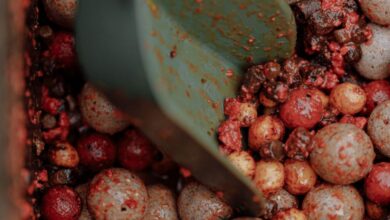 Fishing Spots - Detailed shot of various fish baits including tiger nuts and boilies in a scooper.