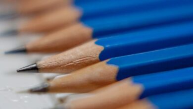 Preparation - A close-up view of neatly aligned blue pencils on a desk, perfect for office themes.