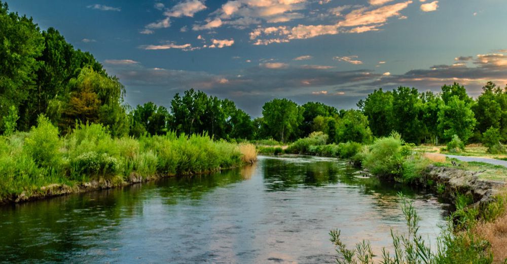 Rivers - Peaceful river landscape with lush greenery and a vibrant sunset sky in Taylorsville, Utah.