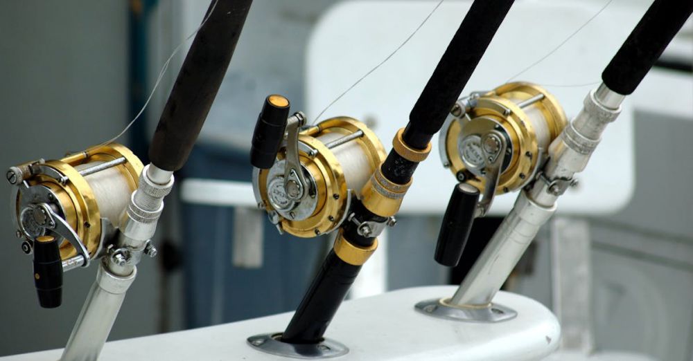 Fishing Charters - Detailed view of fishing rods with gold reels on a boat, ideal for angling enthusiasts.