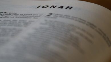 Fish Types - A close focus view of the Book of Jonah text from the Bible with a blurred background.