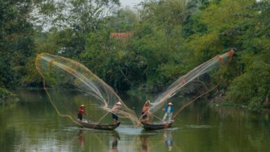 Budget Fishing - Fishing in Hue - Vietnam Photo Tours - Whatsapp: +84 389 278 131