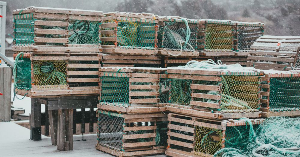 Ice Fishing Communities - Wooden fishing traps piled on a snowy dock during winter, surrounded by a snowy landscape.